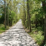 Naturheilpraxis Wernau Reutlingen 2 Heilpraktiker-Kreuer-Allee