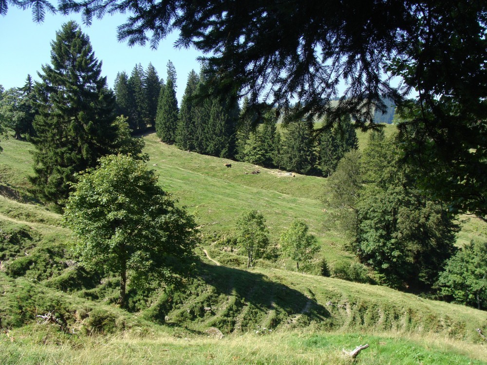 Wandern für die Verdauung