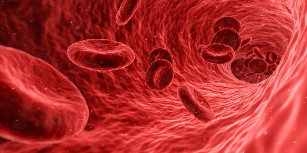 Sichere Behandlungsmethoden der Naturheilkunde 3