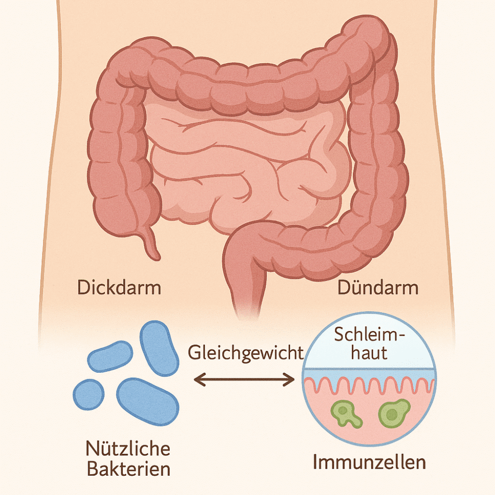 Illustration: „Darmflora des Kindes – Gleichgewicht von Bakterien und Immunsystem“